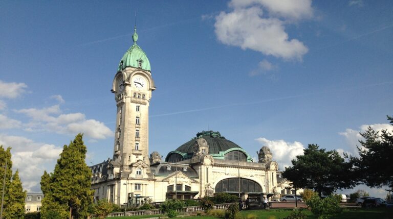 Double Degree Program Materials Science FAU – Université de Limoges